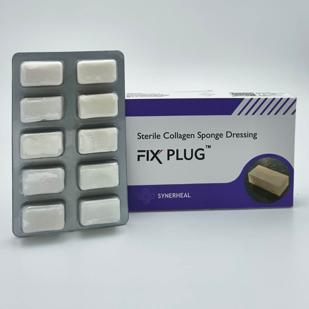 प्लग ठीक करें